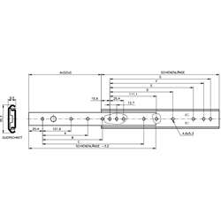 Vedenia Accuride DZ 0201, šírka 9,5mm, do 49kg, 3/4 výsuv scheme