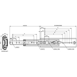 Vedenia Accuride DZ 3607, šírka 19.1mm, do 120 kg, plný výsuv scheme