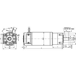 Planétová prevodovka PE s DC motorom 24V, velk.2, n2=51 ot/min,  i=59:1 photo