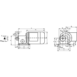 Motor s šnek. prevodovkou RL, 90W, 230/400 V,,i=1500:1,  aprox. n2=0.9 ot/min Md2=7.1 Nm  photo