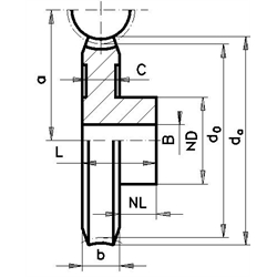 Šnekové kolesá z bronzu, jednozávitové pravé, Modul 0,5 scheme