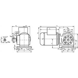 Šnek. špir. prevodovka SRS  s motorom 120W , i=142:1, 20 ot., 30Nm photo