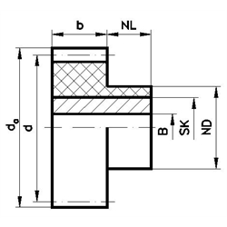 Čelné ozubené kolesá, plast PA12G, s nerezovým jadrom, Modul 2,5 scheme